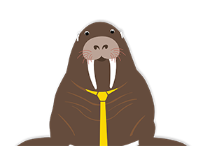 walrus mascot